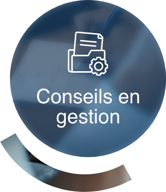 Conseils en gestion