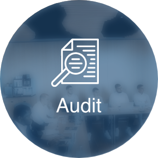 Audit